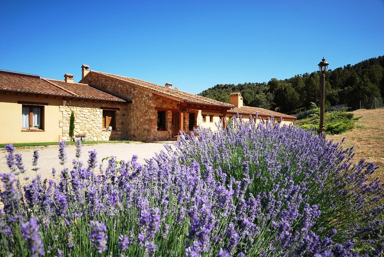 Hotel Del Verde Al Amarillo Penasrubias de Piron Esterno foto